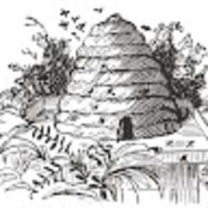 Meet your Posher, Ellen